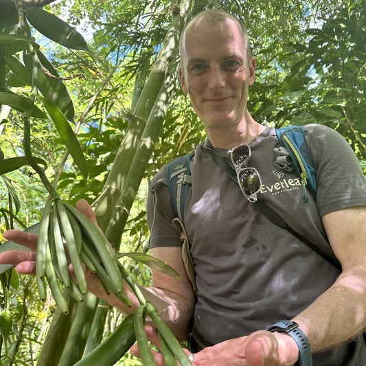 Exploring Vanilla: From Madagascar to Everleaf