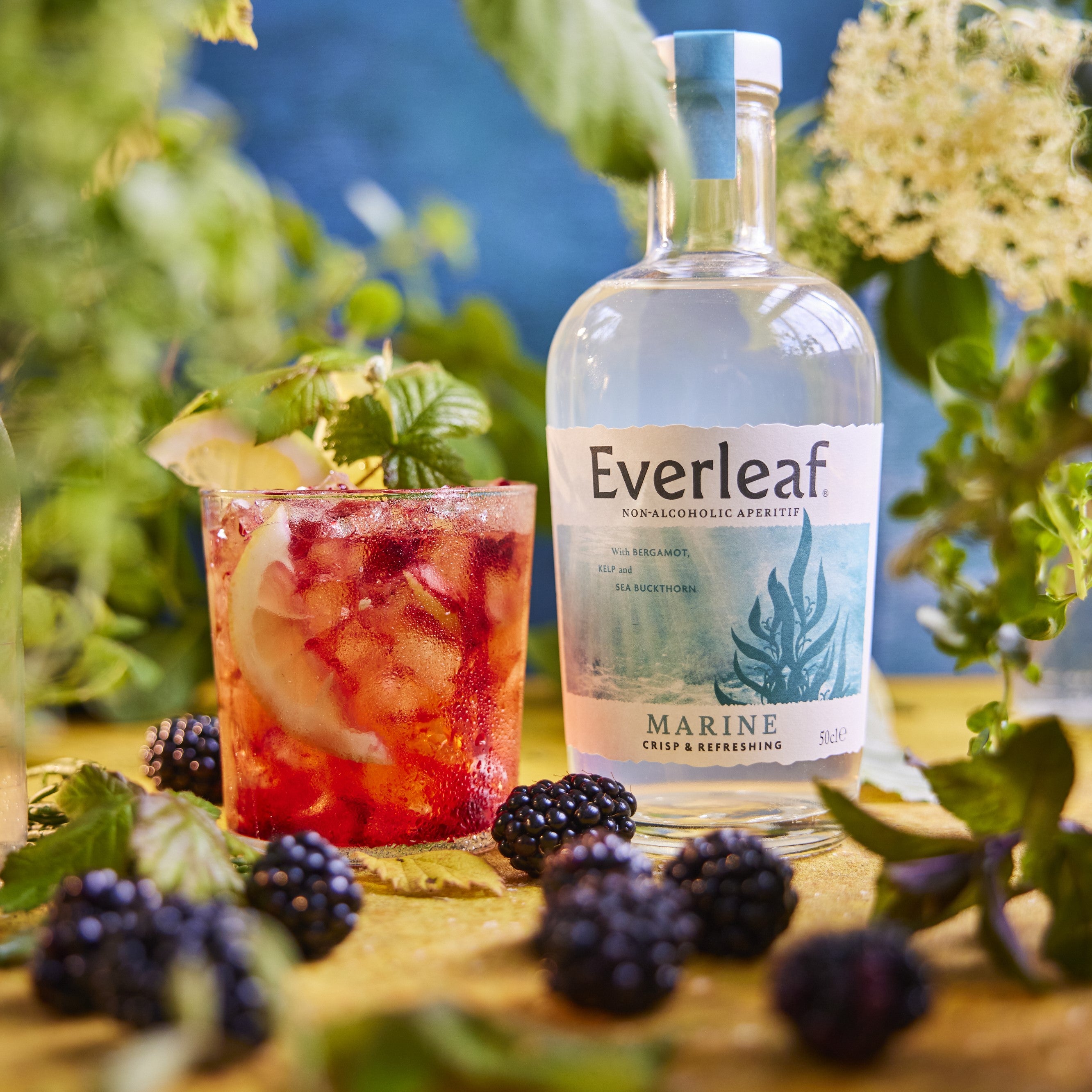 World Cocktail Day – Everleaf Drinks