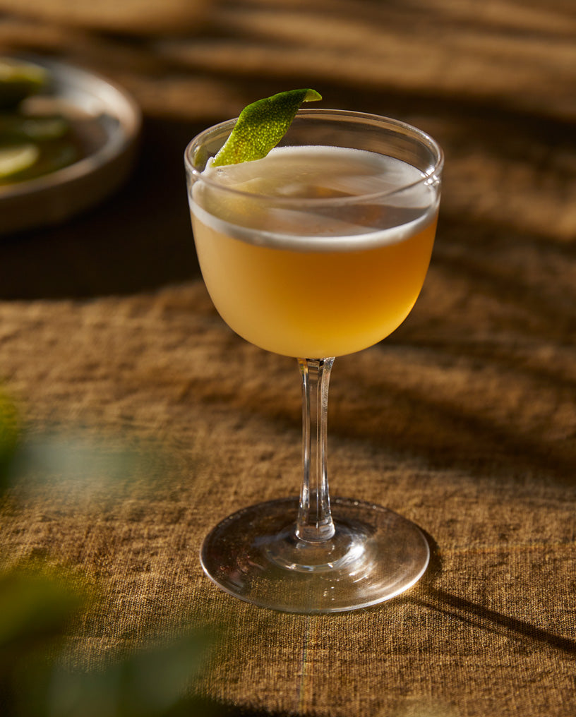FOREST Gimlet