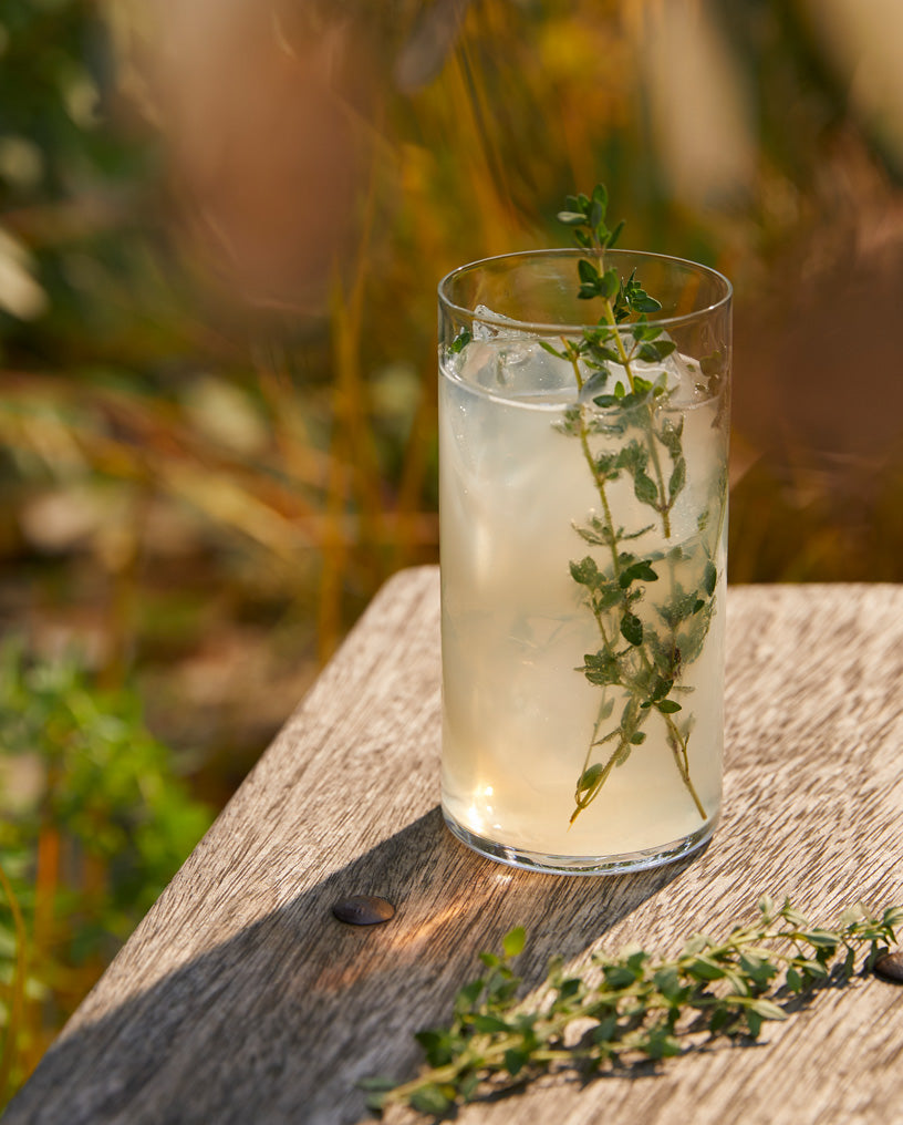 Citrus & Thyme Highball